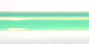 DSC02142