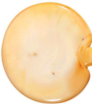 opal yellow_00
